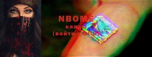 дживик Козельск