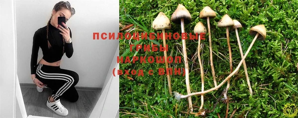 ECSTASY Кинешма