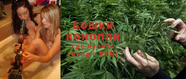дживик Козловка